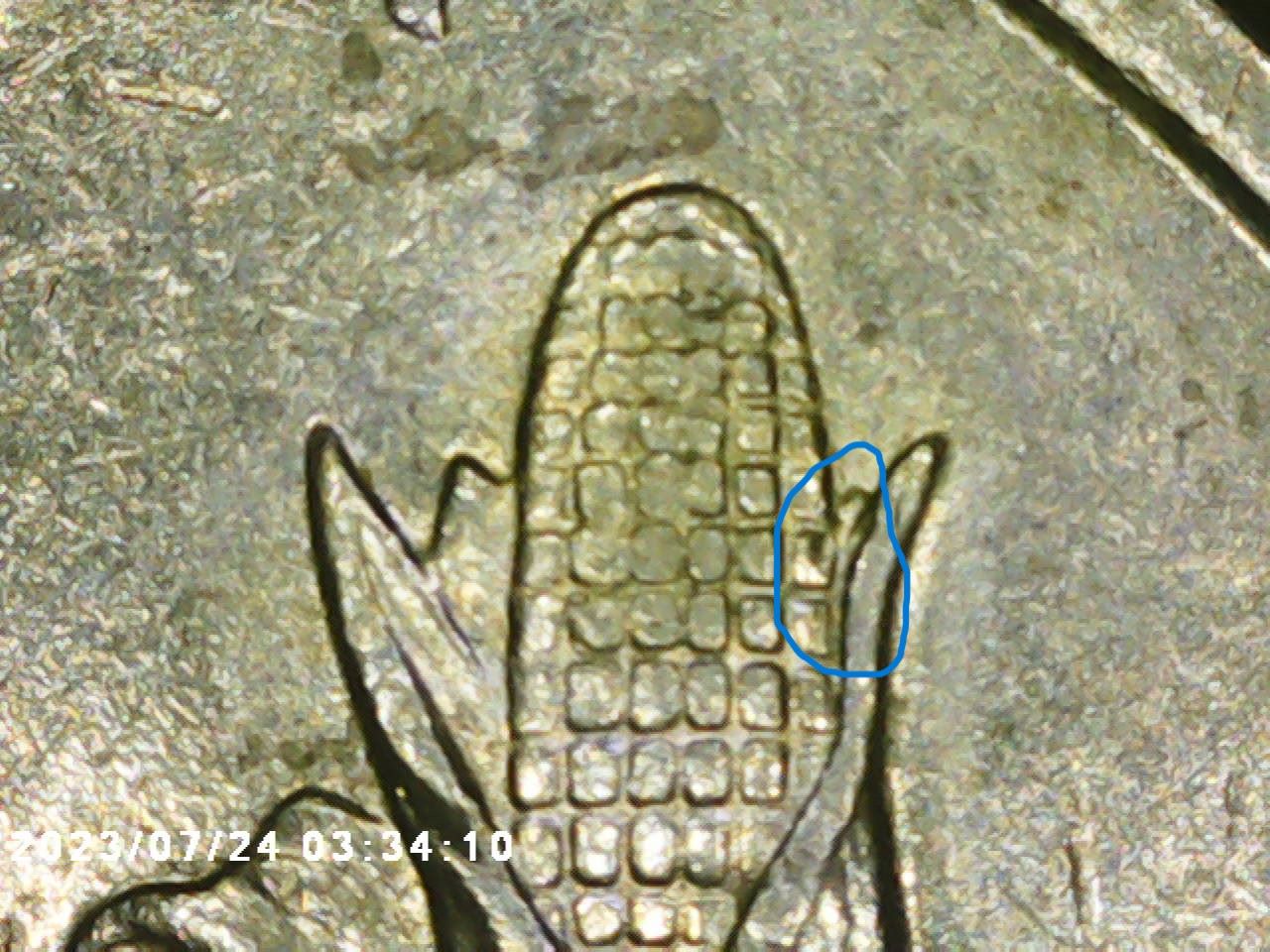 2004-D-Wisconsin-Quarter-Extra-Extra-Leaf?